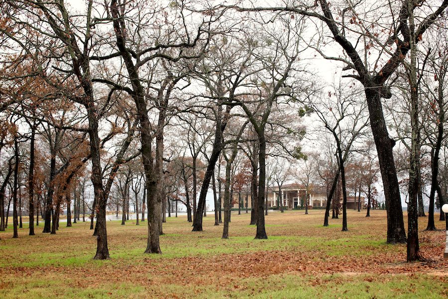 wedding photography tyler tx