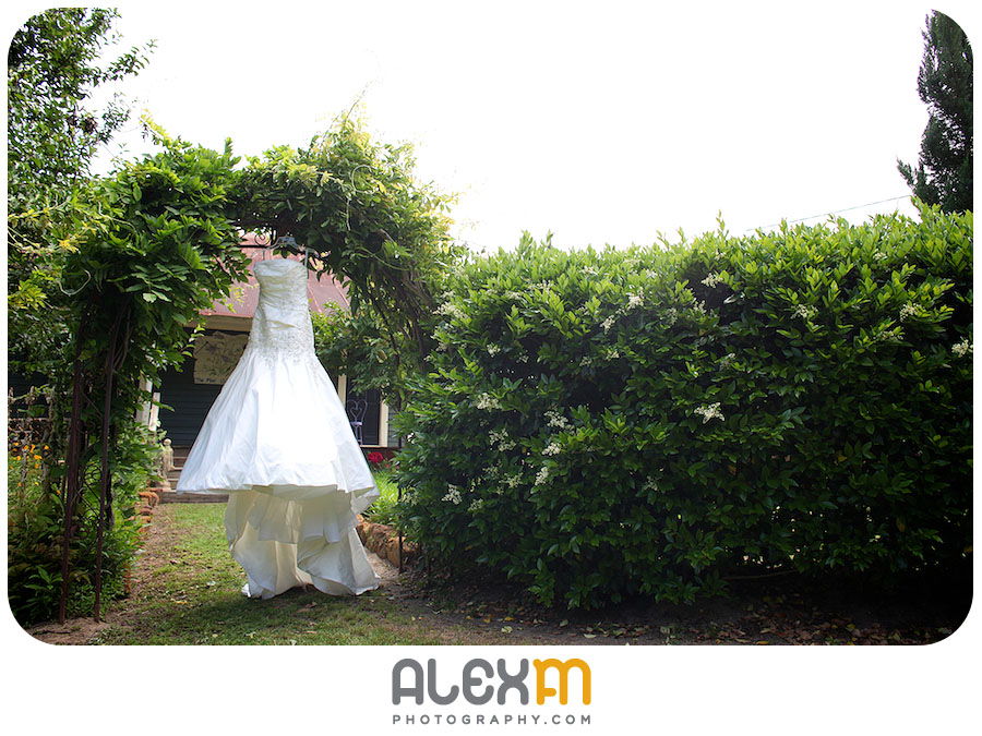 Kasey & Chad | Elmwood Gardens (Part 1)