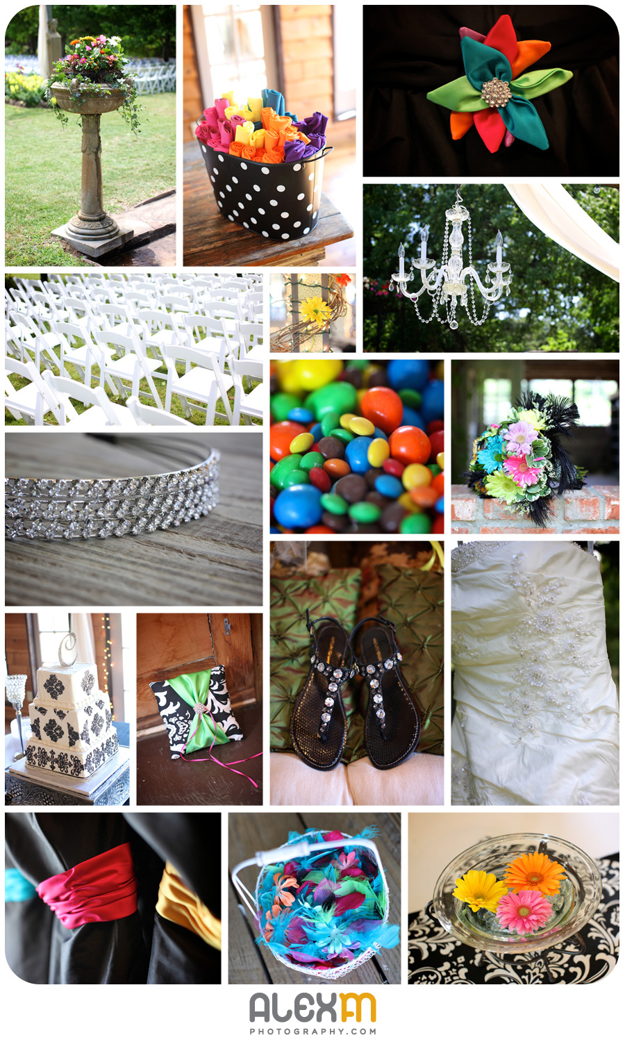 Kasey & Chad | Elmwood Gardens (Part 2)