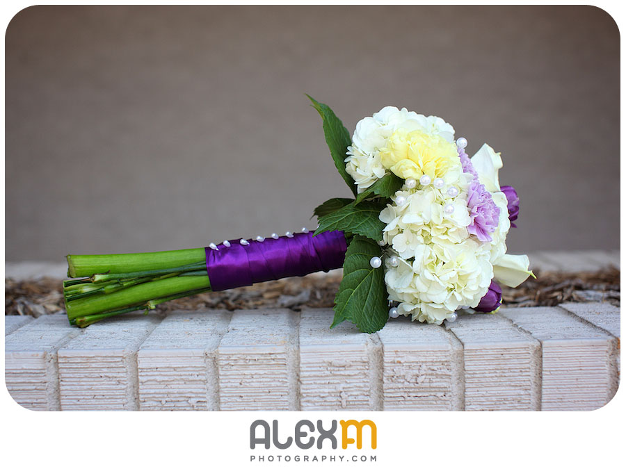 3368Jean, James, & The Purple Wedding