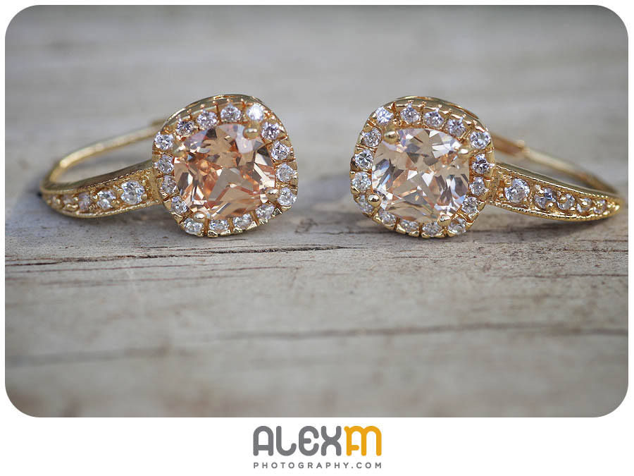 Jessica & Rob | Wedding Photography Elmwood Gardens