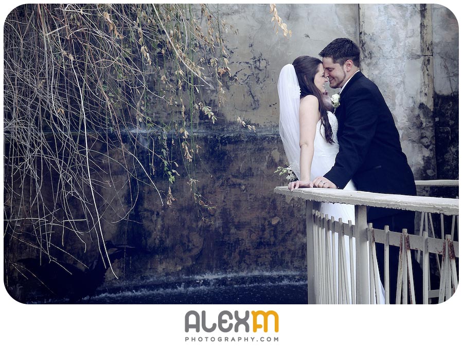 5561Ashley & Aric | Villa Antonia Austin Wedding Photography