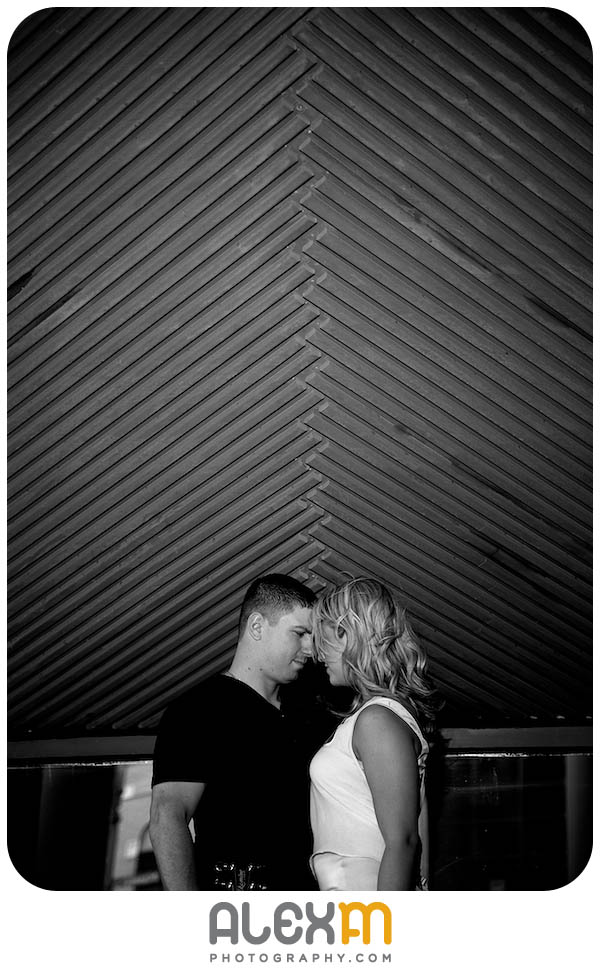 Casey & Tony | Engagement Photography Ft. Worth, TX