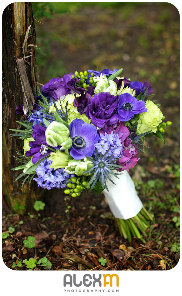 6317Lindsey & Jonathan | Elmwood Gardens