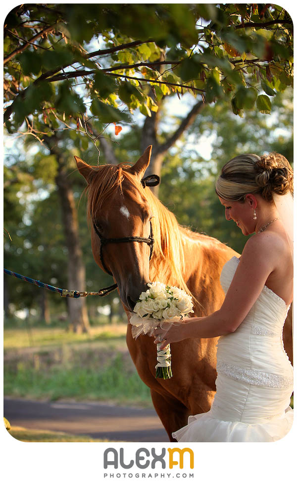Amy | Elmwood Gardens