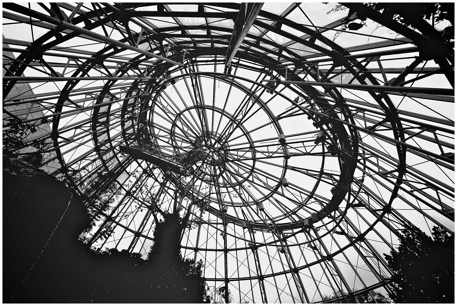 houston-museum-of-natural-science-photography-11