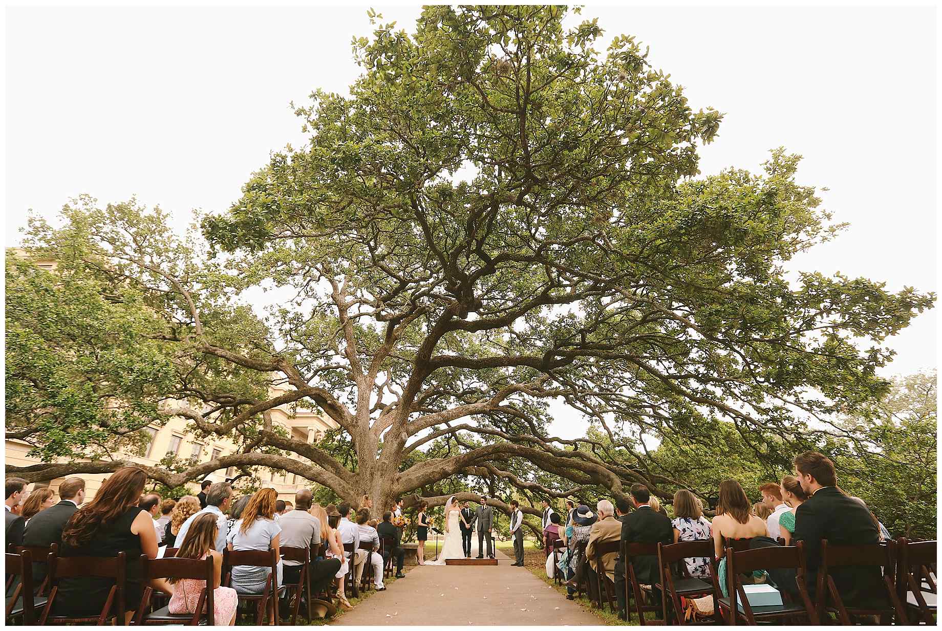 aggie-century-tree-wedding-13