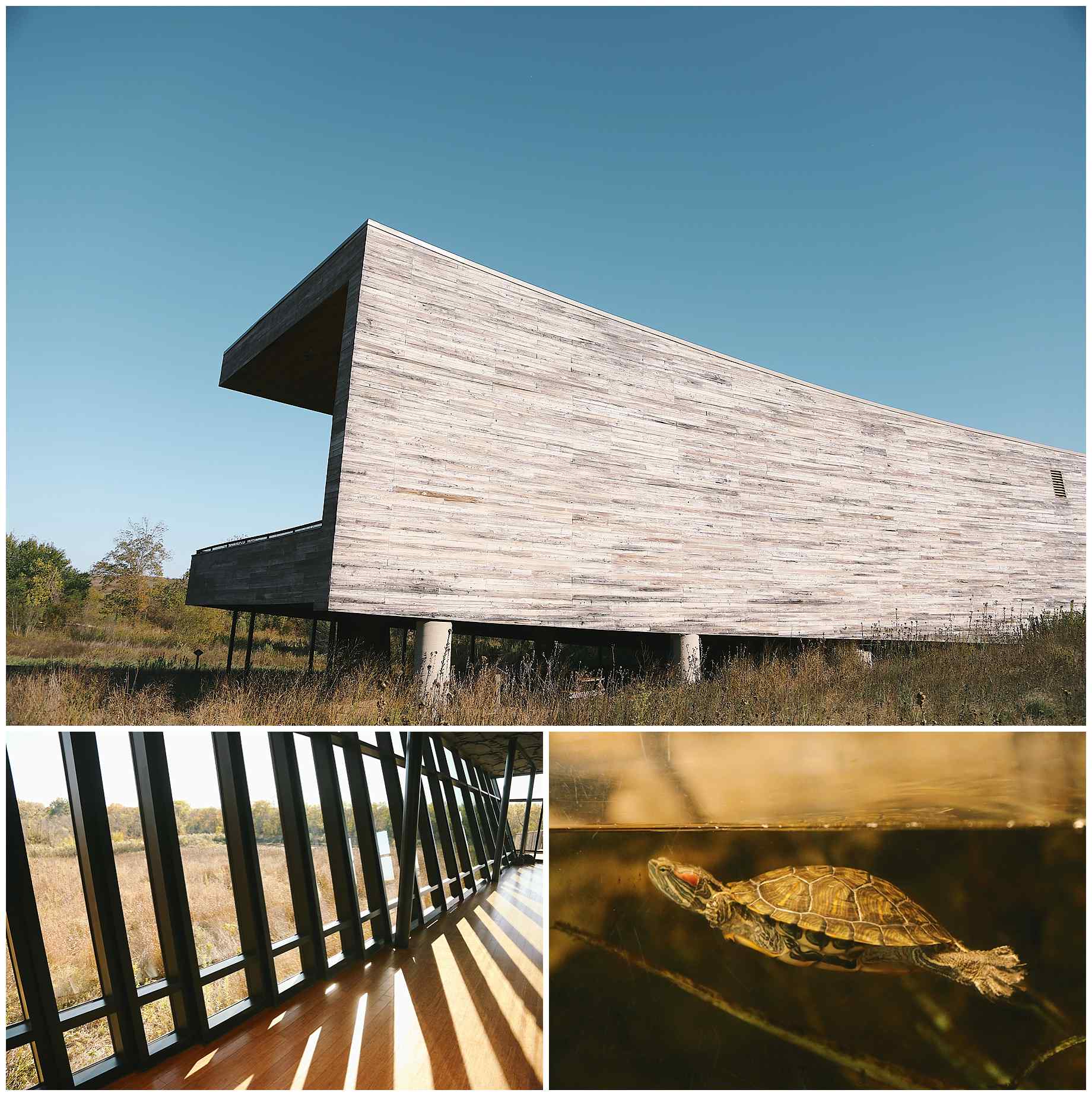 trinity-river-audubon-center-weddding-photos-00005