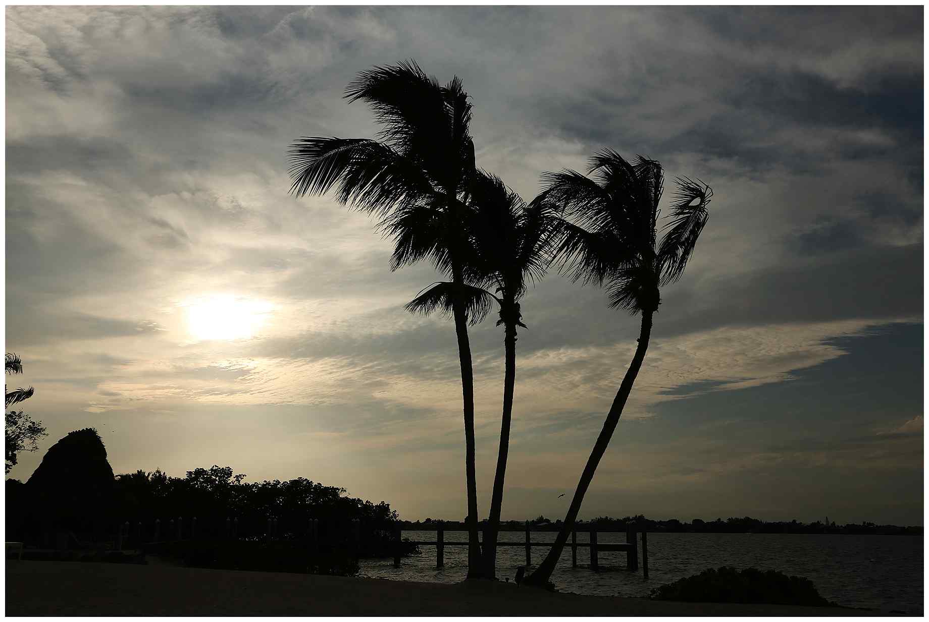 Key-Largo-Beach-Wedding-Photos-005