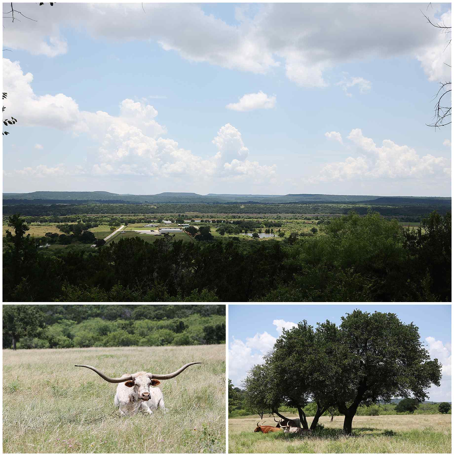 wildcatter-ranch-wedding-photos-001