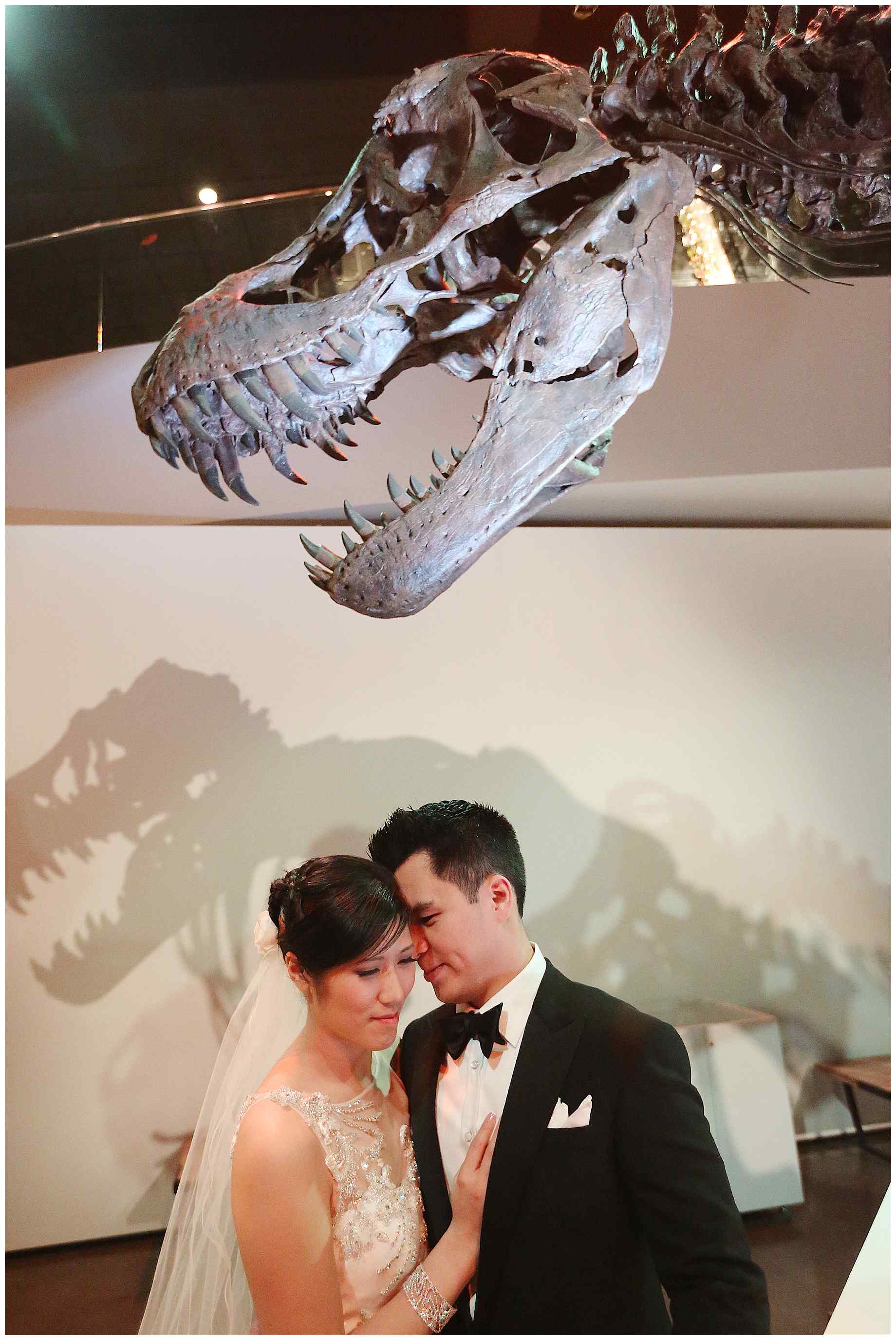houston-museum-of-natural-science-wedding-photos-011
