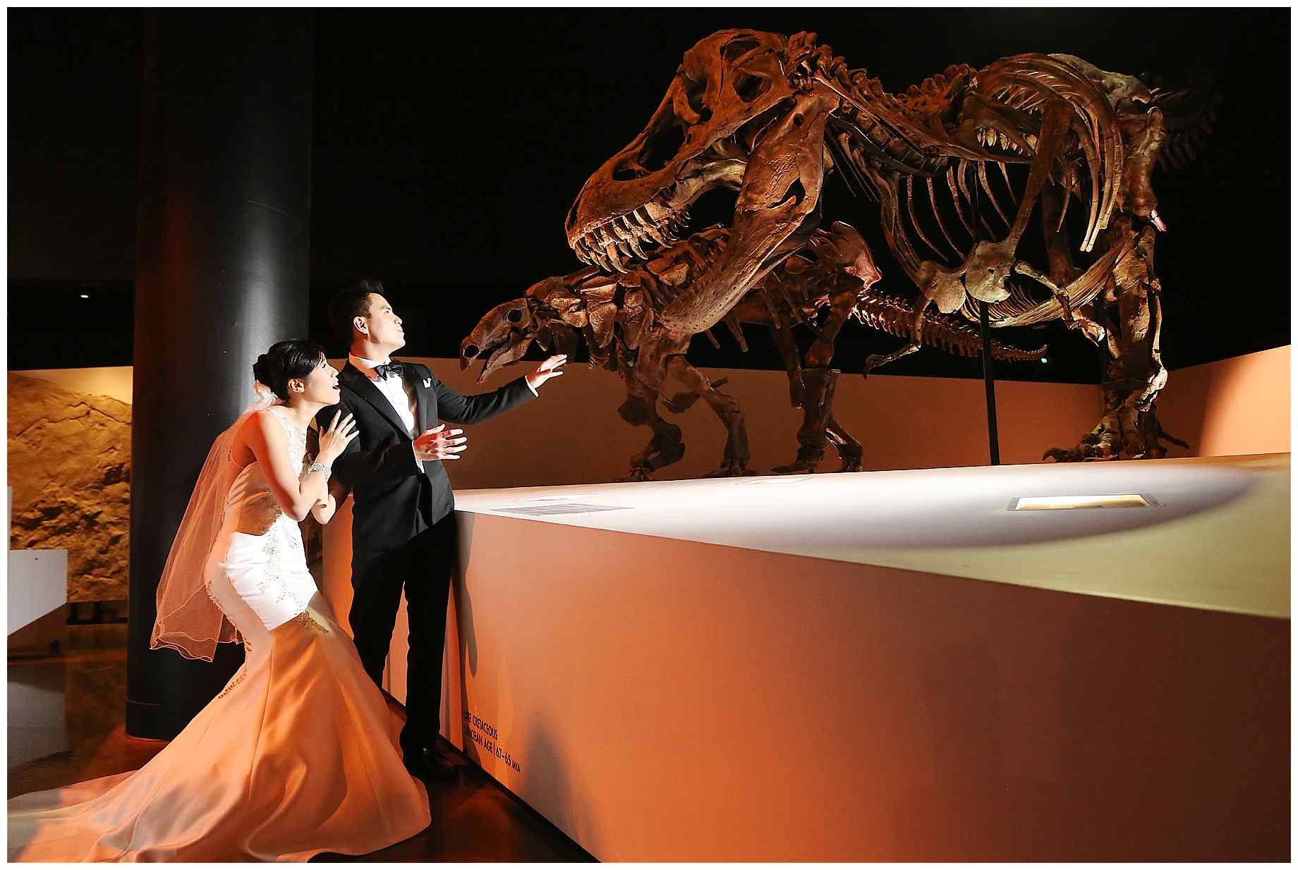 houston-museum-of-natural-science-wedding-photos-012