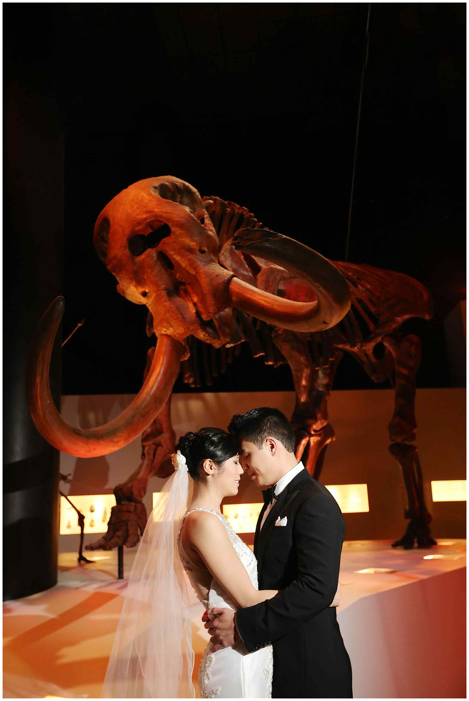 houston-museum-of-natural-science-wedding-photos-013