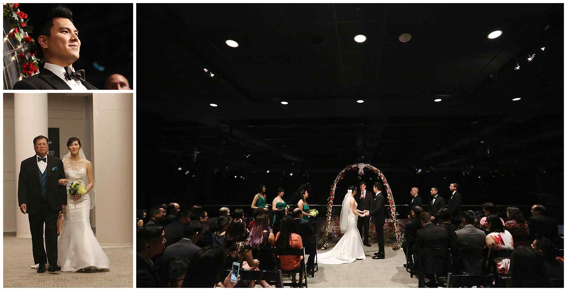 houston-museum-of-natural-science-wedding-photos-019