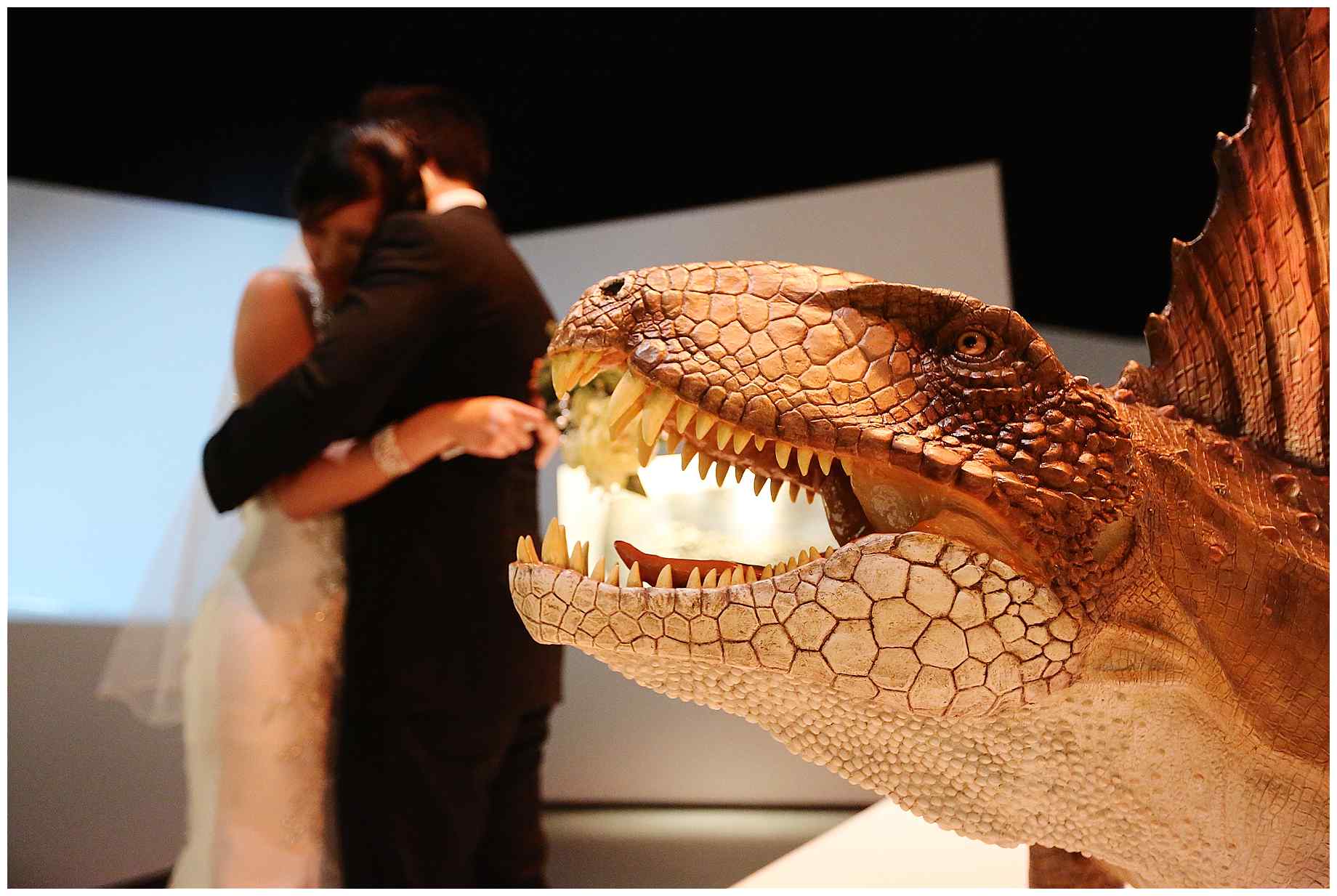 houston-museum-of-natural-science-wedding-photos-023