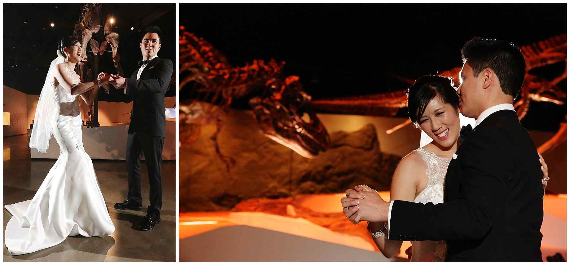 houston-museum-of-natural-science-wedding-photos-025