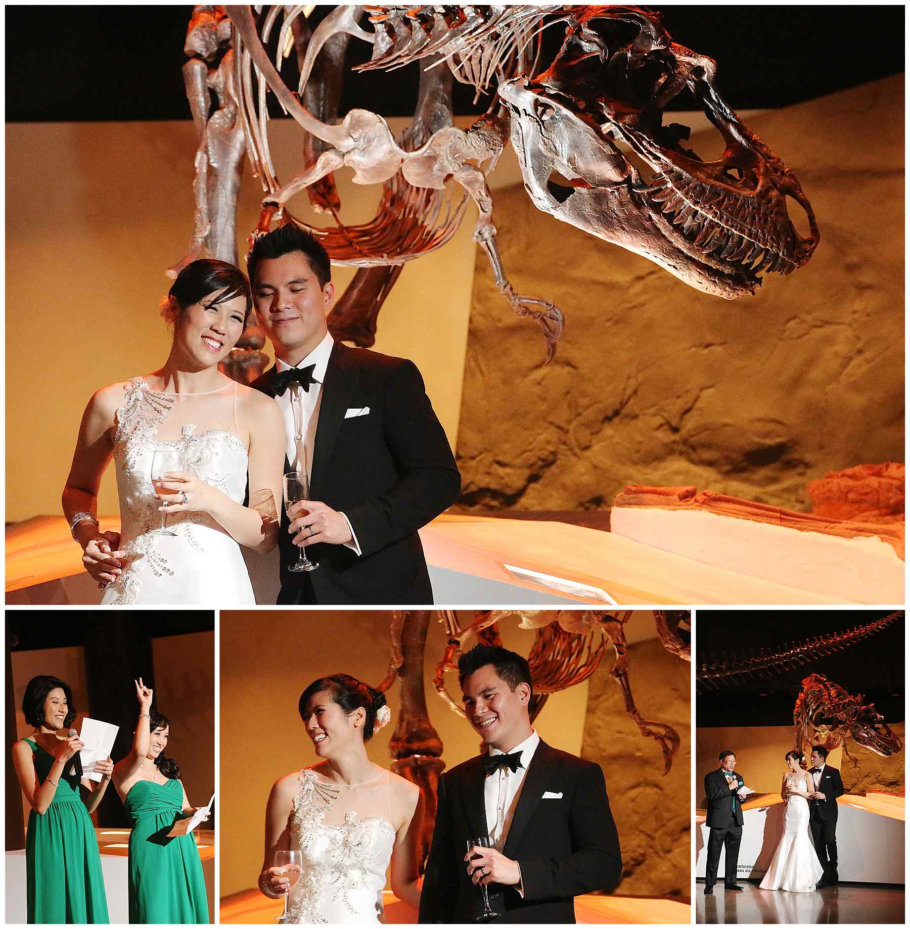 houston-museum-of-natural-science-wedding-photos-026