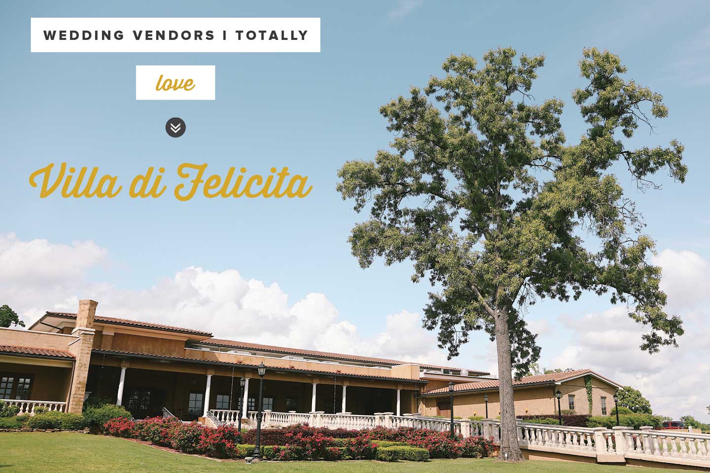Vendor Love: Villa di Felicita
